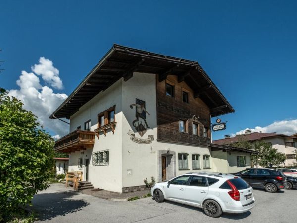 Chalet Haslau Large - Oostenrijk - Tirol - Hopfgarten - 24 personen img-1